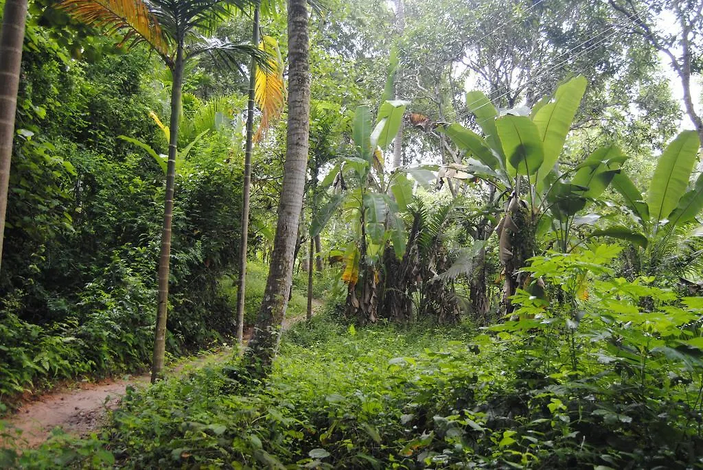 Hill Top Ayurvedic Beach Resort Varkala